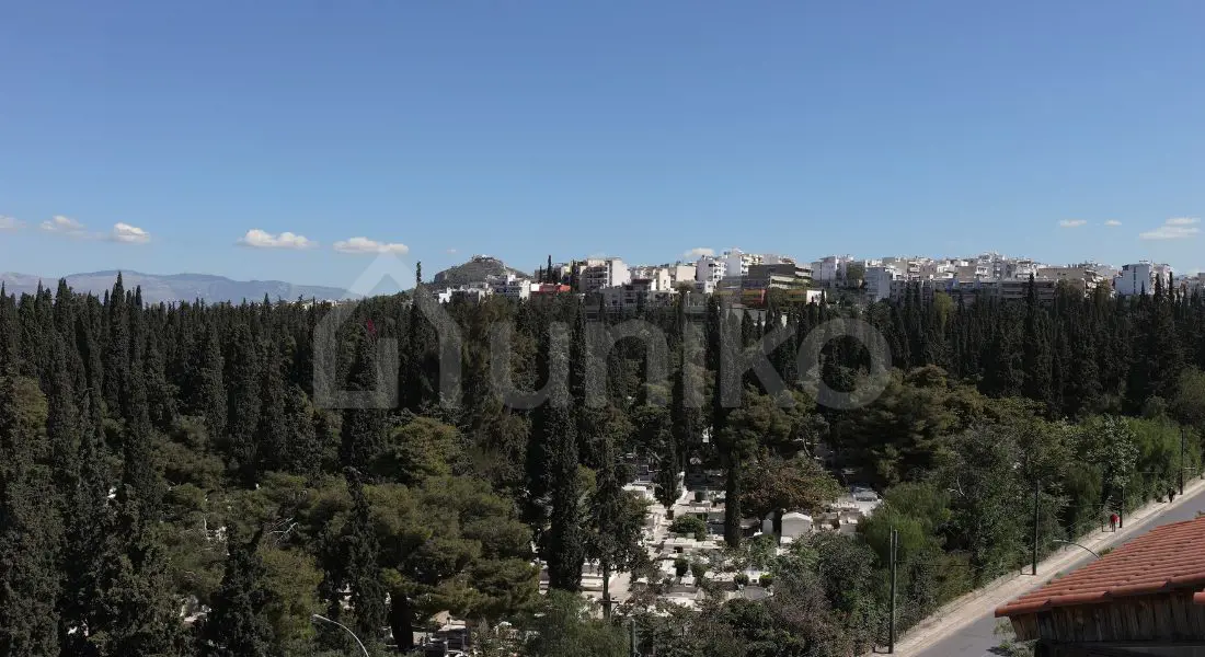 Secondary Photo of property with code 00001006