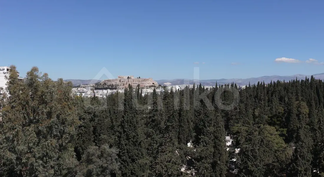 Secondary Photo of property with code 00001009