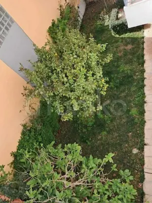 Secondary Photo of property with code 00001147