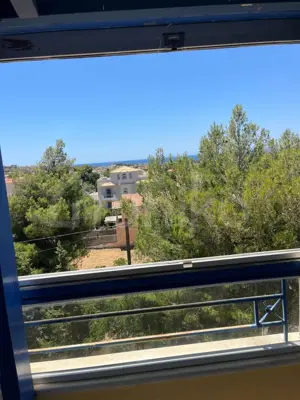 Secondary Photo of property with code 00001184