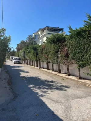 Secondary Photo of property with code 00001184