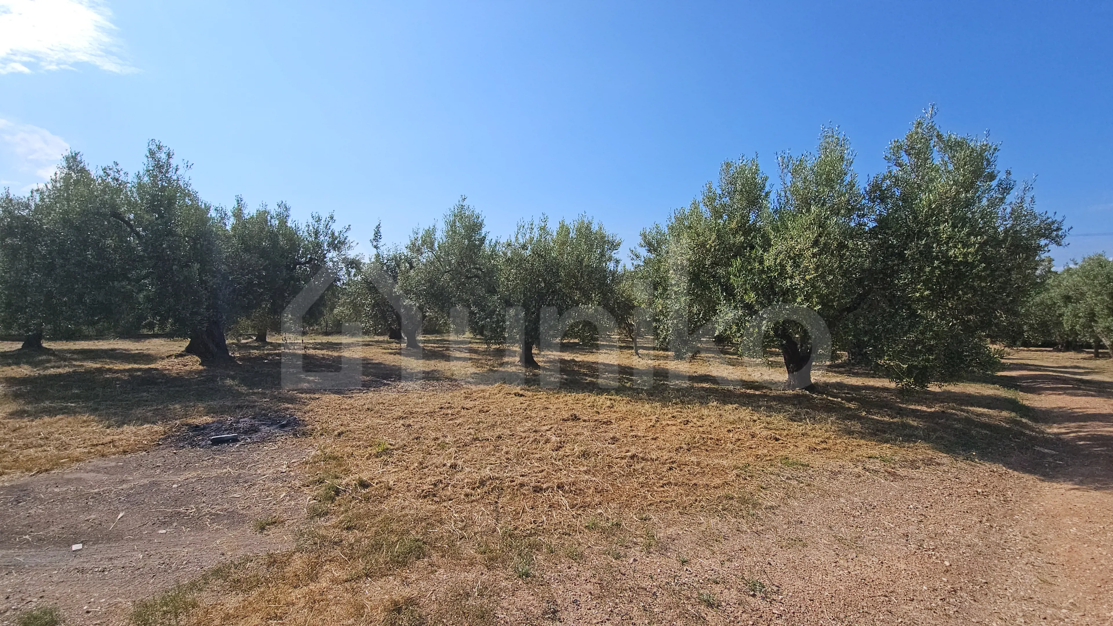 Secondary Photo of property with code 00001790