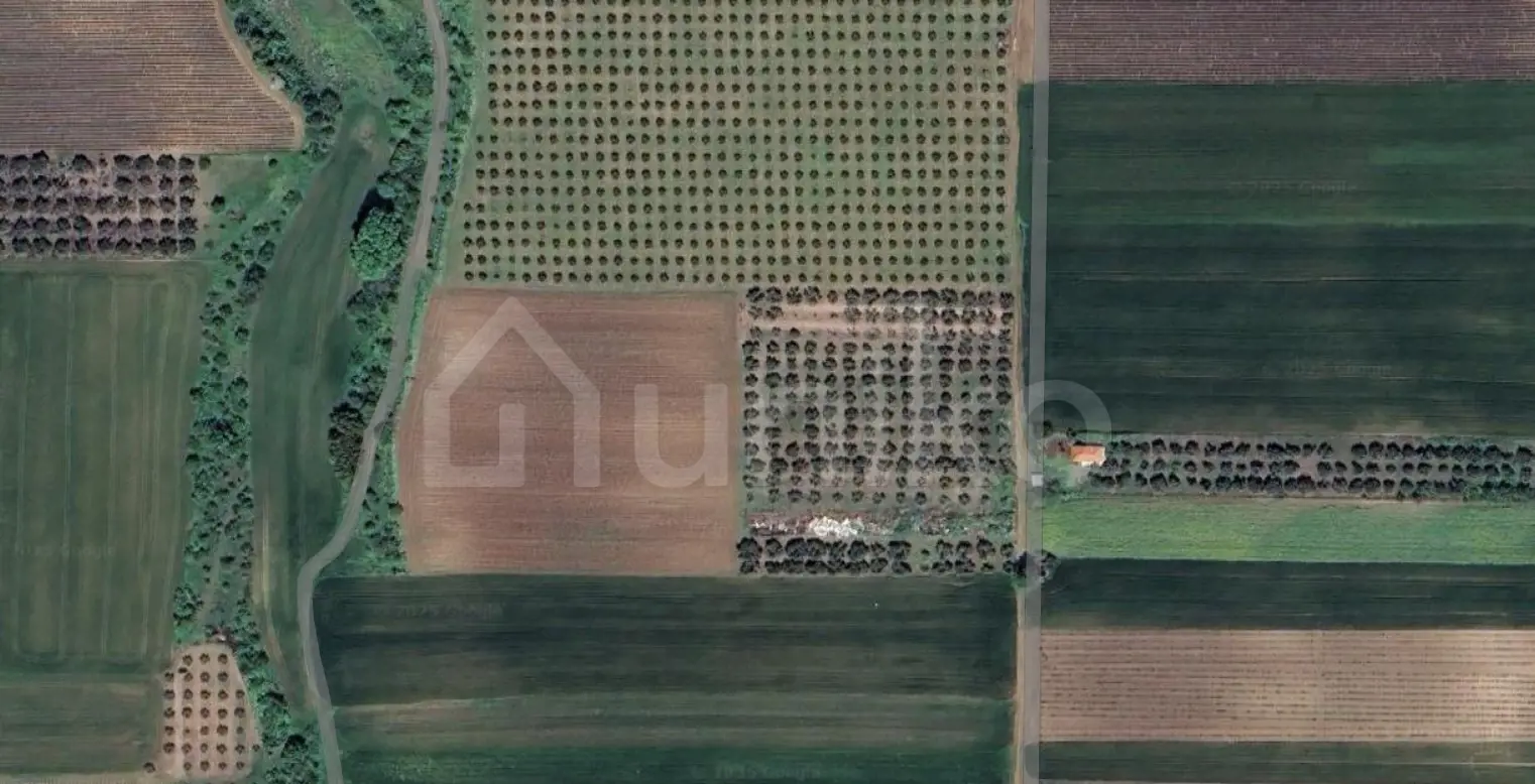 Secondary Photo of property with code 00002625
