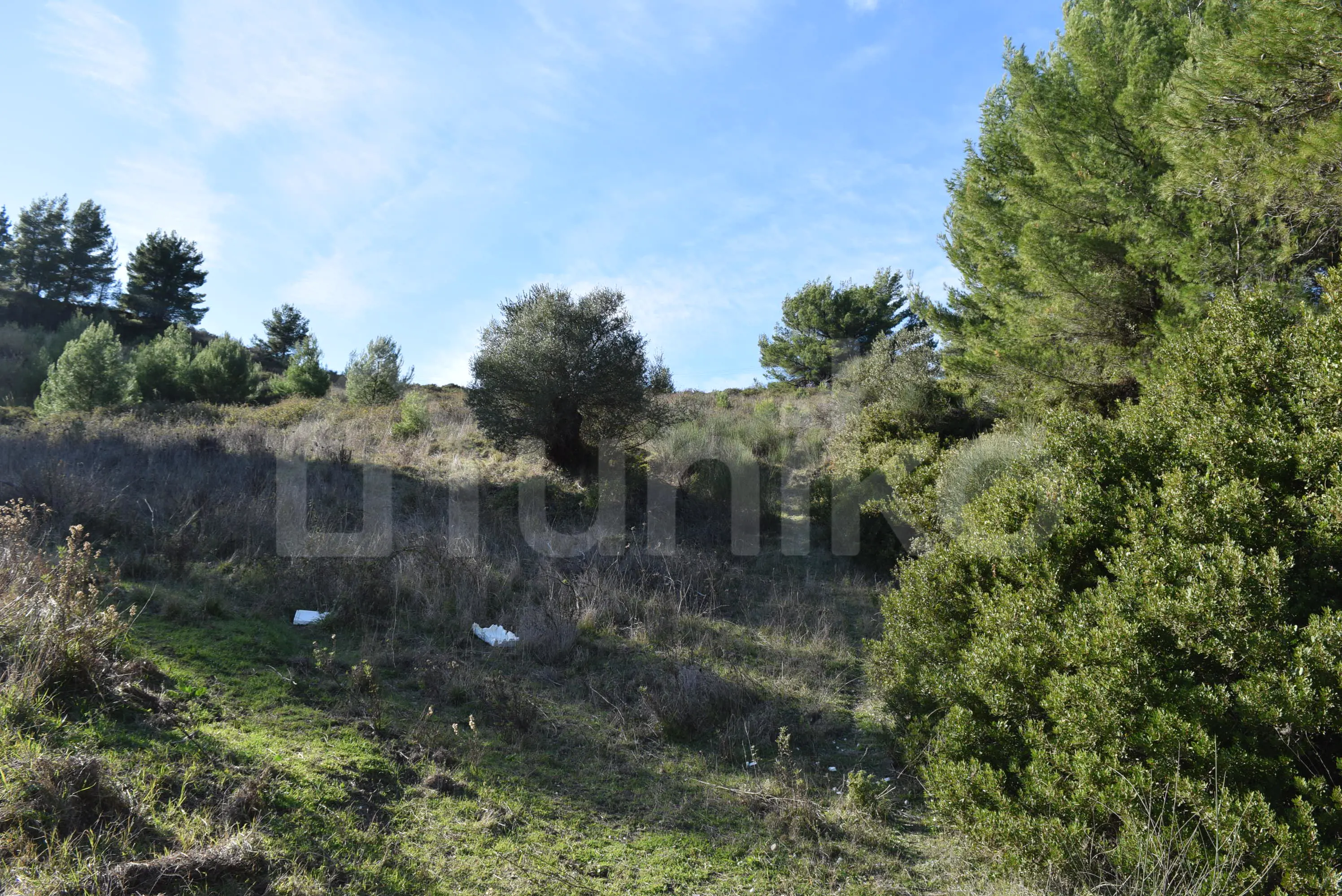 Default photo of property with code 00004117