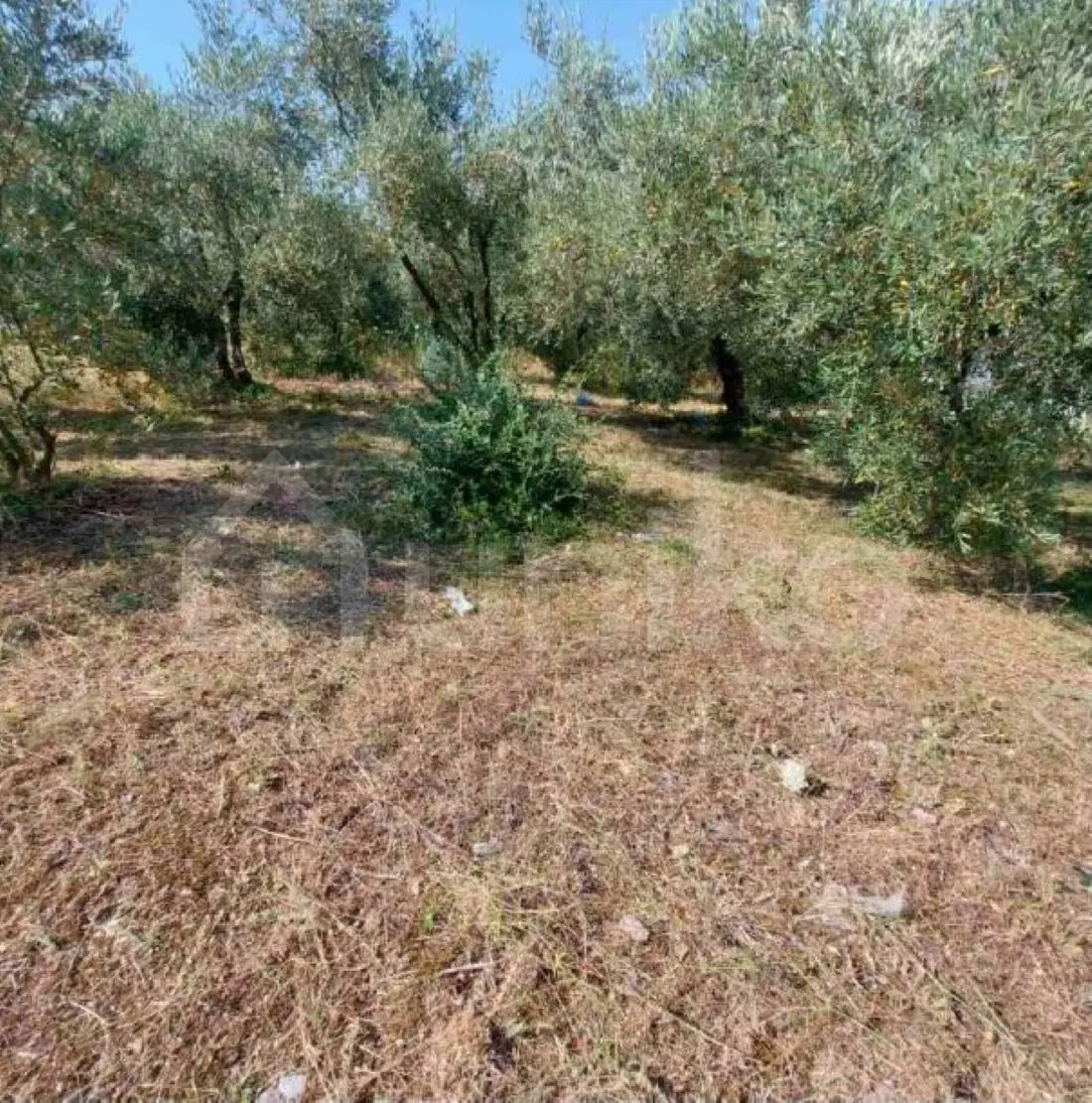 Secondary Photo of property with code 00005012