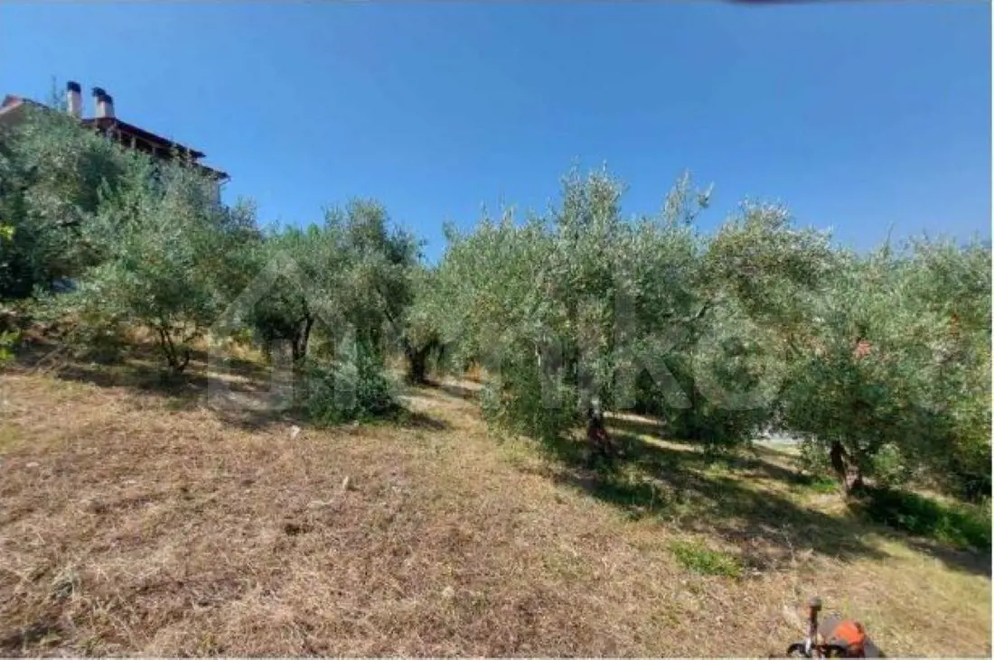 Secondary Photo of property with code 00005012