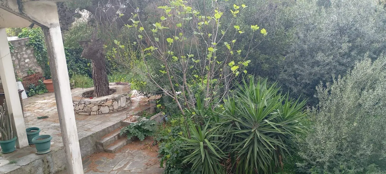 Secondary Photo of property with code 00005200