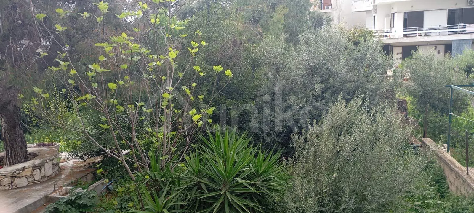 Secondary Photo of property with code 00005200