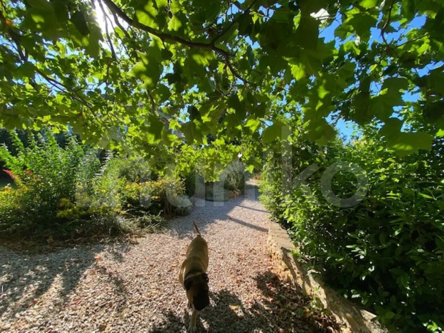 Secondary Photo of property with code 00005862