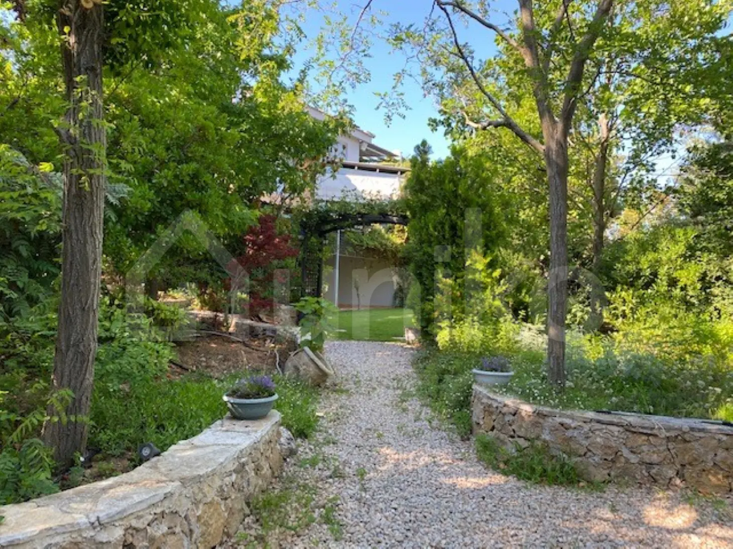 Secondary Photo of property with code 00005862