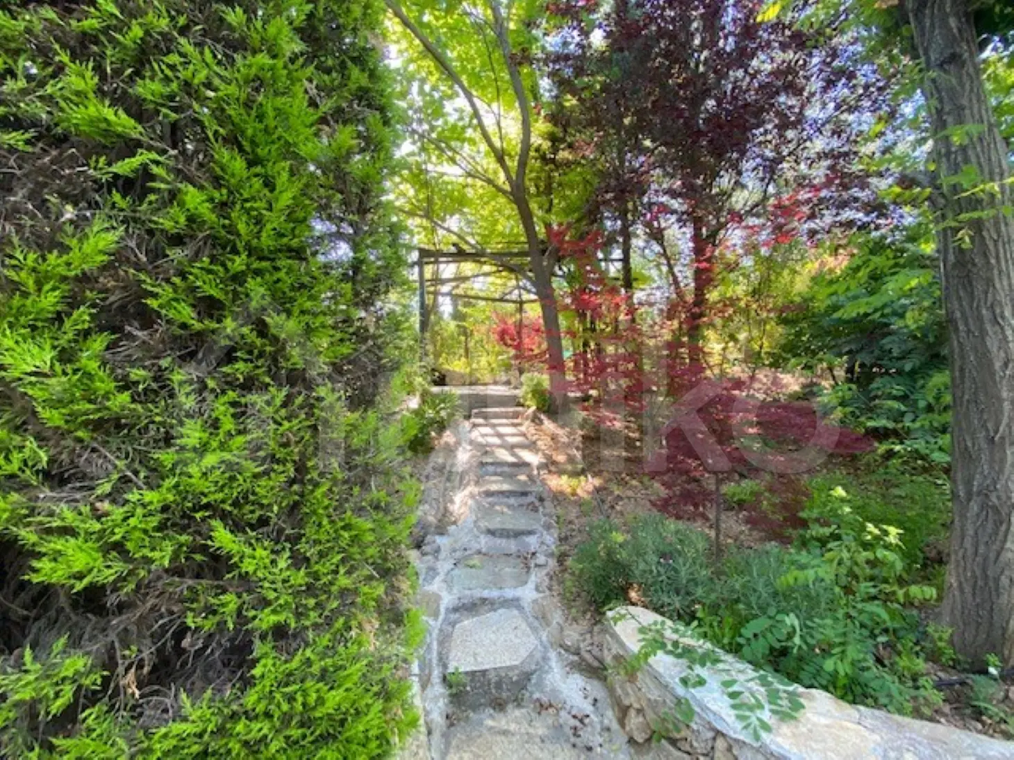 Secondary Photo of property with code 00005862