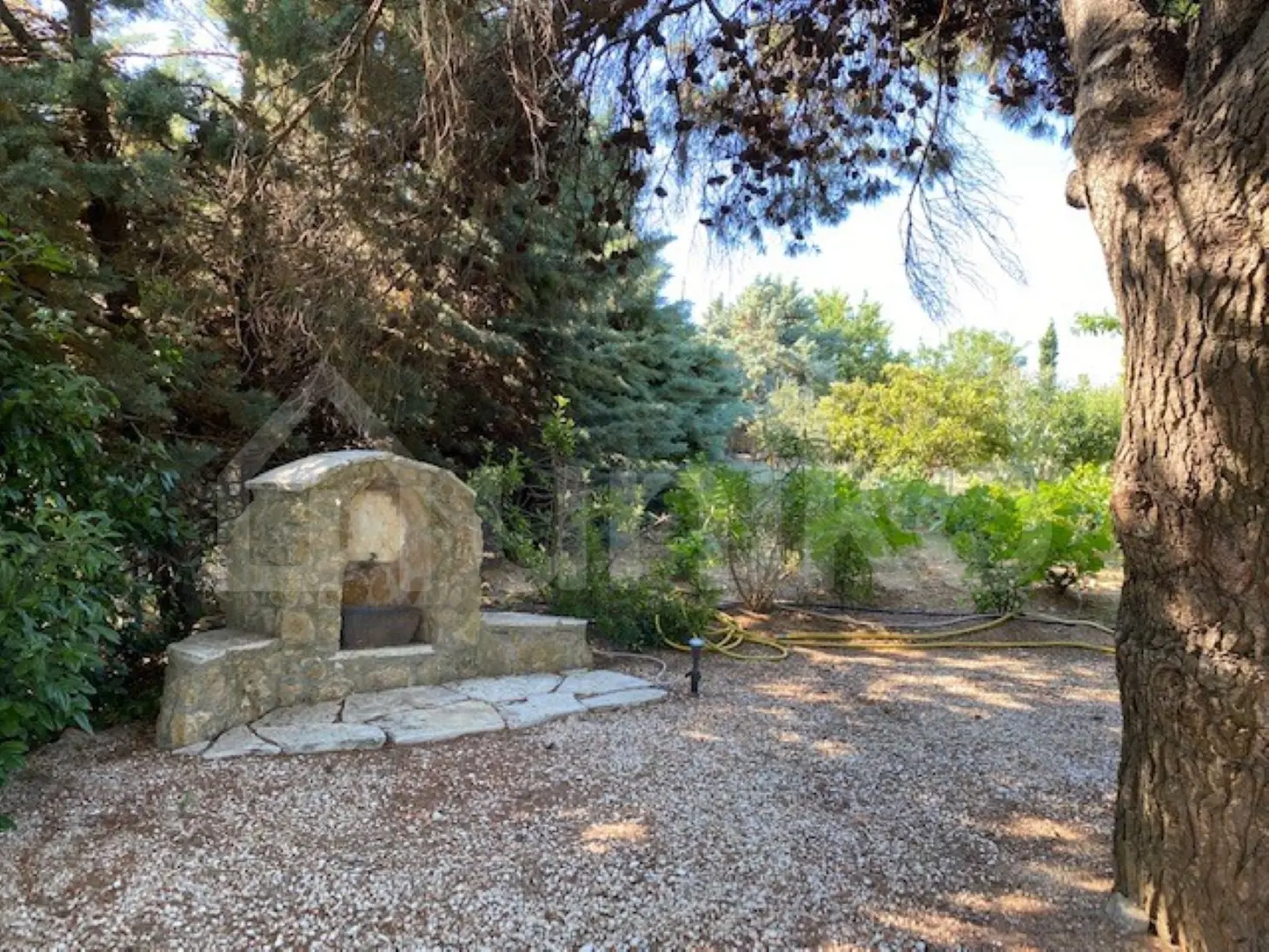Secondary Photo of property with code 00005862