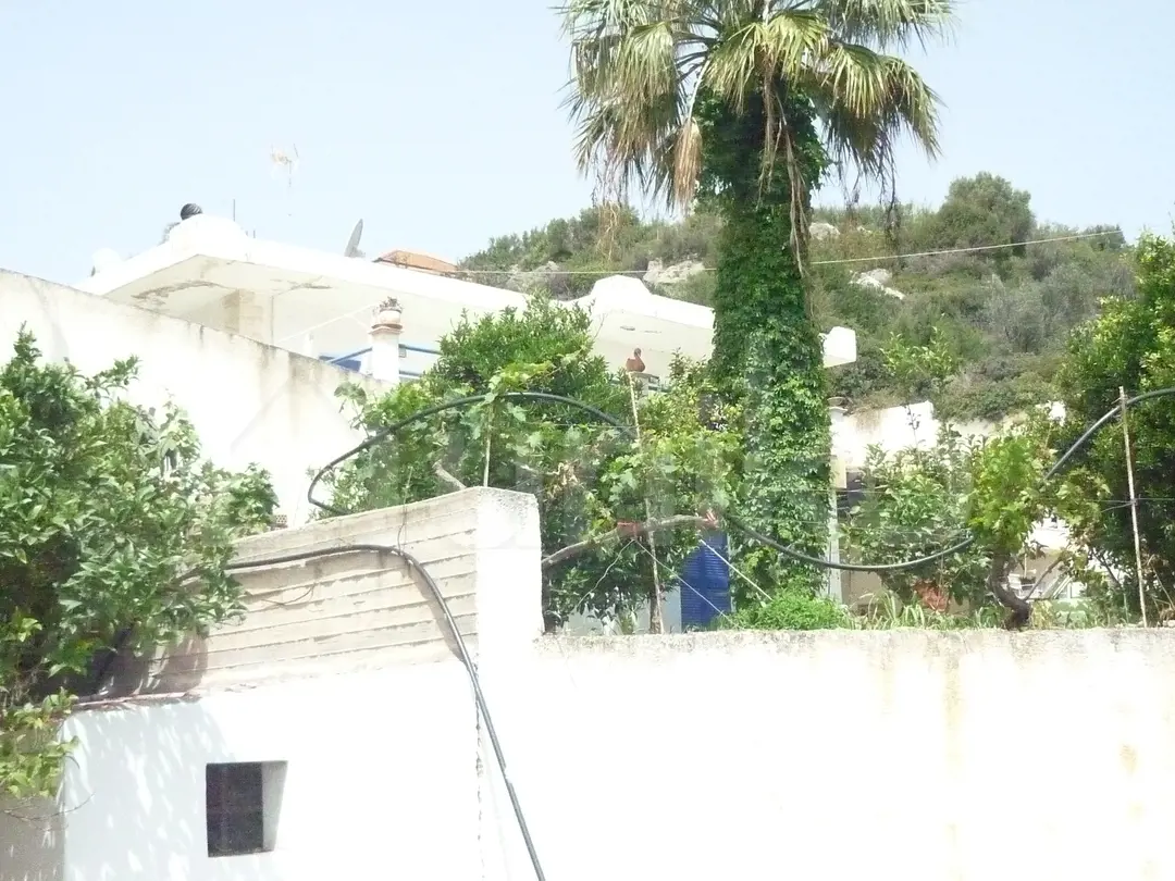 Secondary Photo of property with code 00005943