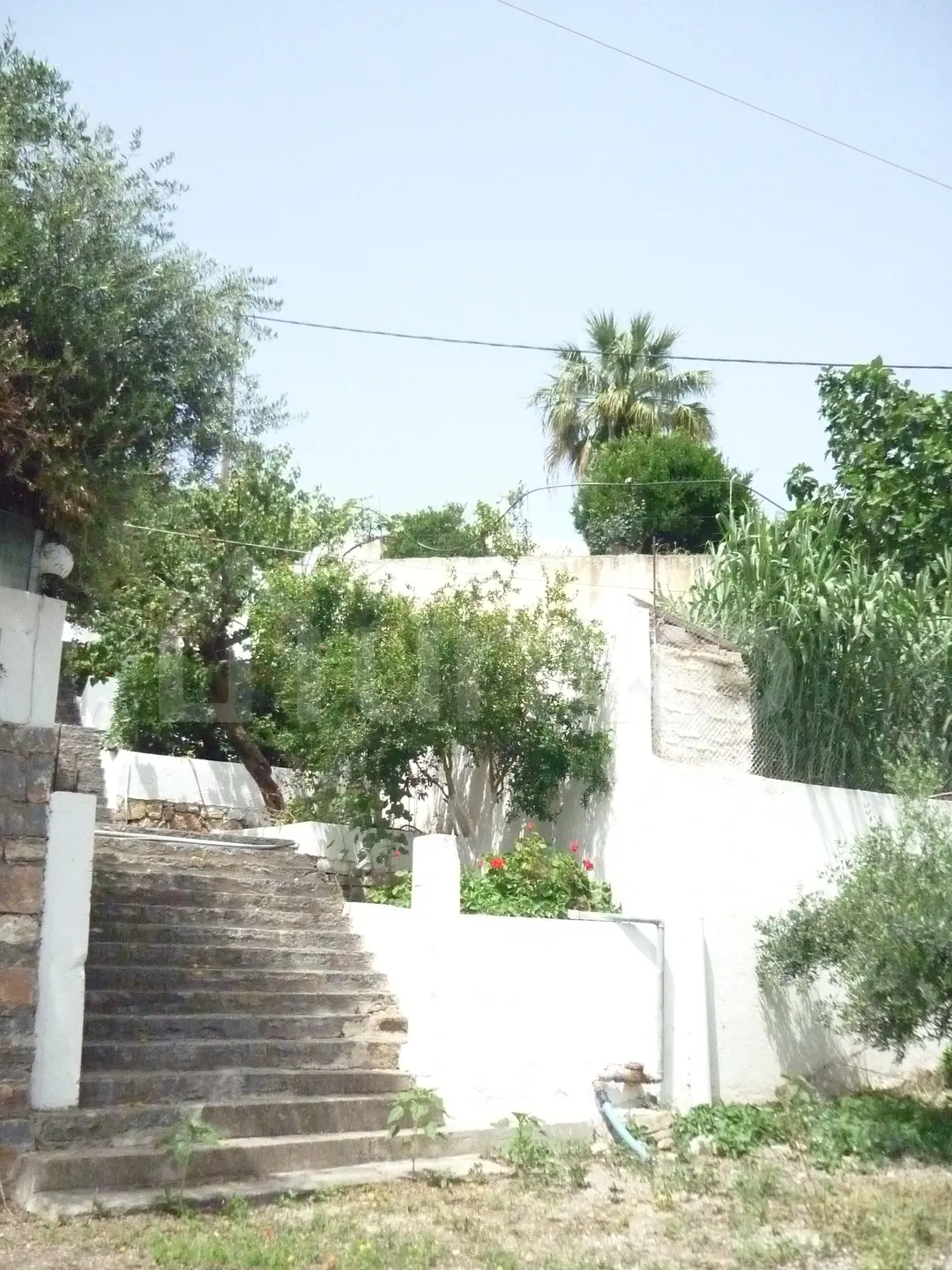 Secondary Photo of property with code 00005943