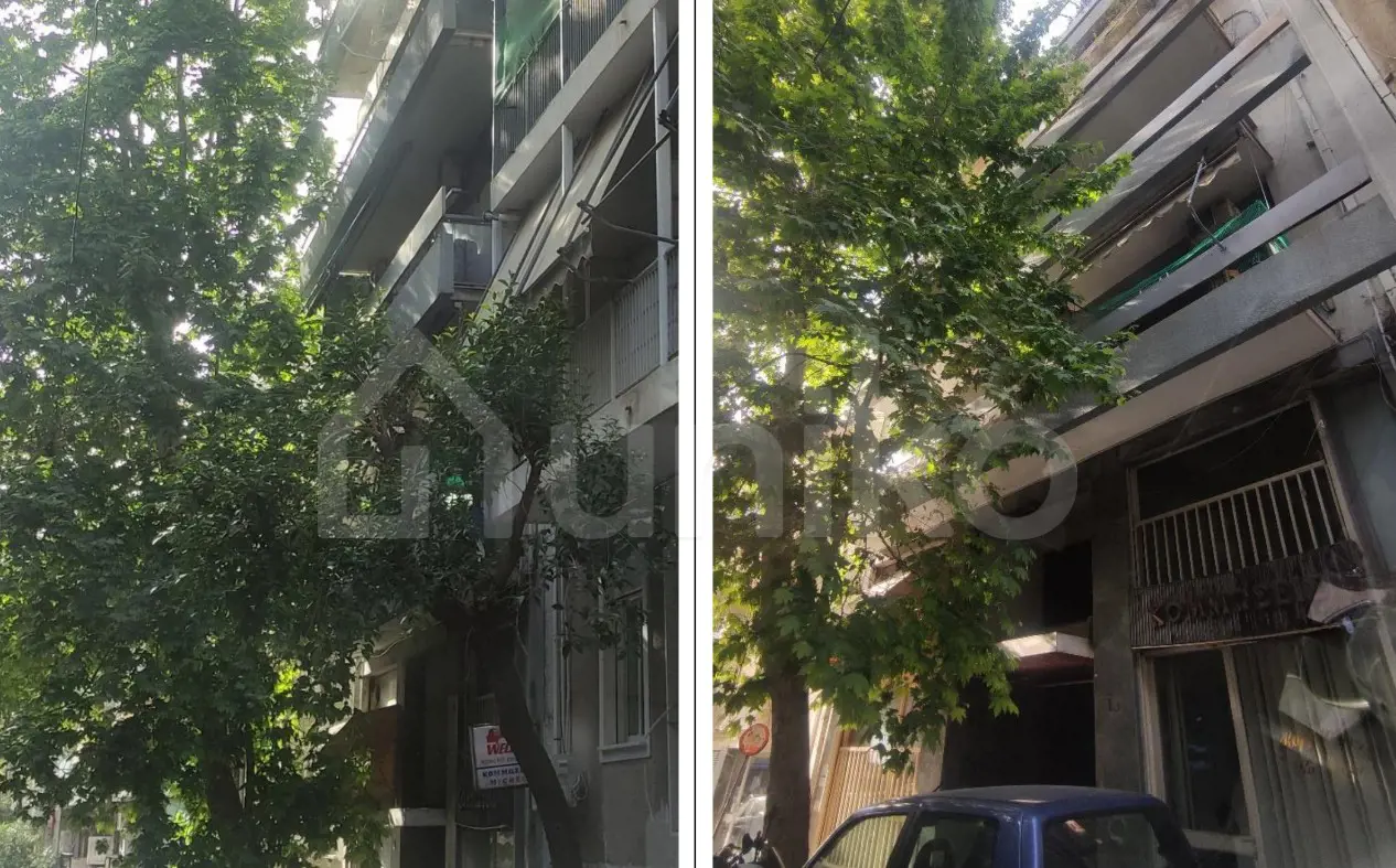 Default photo of property with code 00008541
